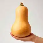 How To Cut Butternut Squash Recipe