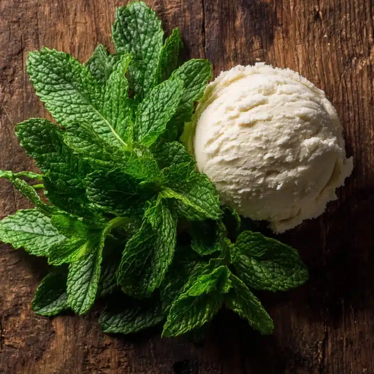 Vanilla Bean and Fresh Mint Ice Cream Recipe