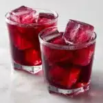 Elderberry Kombucha Recipe
