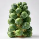 Pan-fried Brussels Sprouts Recipe