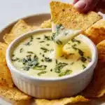White Cheese Dip Recipe