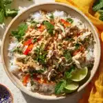 Slow Cooker Chicken Satay Recipe