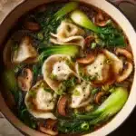 Potsticker Soup Recipe