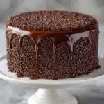 Blackout Chocolate Cake Recipe