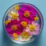 How to Make Flower Essences Recipe