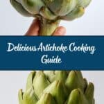 How To Cook and Eat an Artichoke Recipe