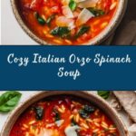 Italian Orzo Spinach Soup Recipe