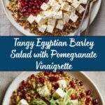 Egyptian Barley Salad with Pomegranate Vinaigrette Recipe