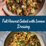 Autumn Glow Salad with Lemon Dressing Recipe