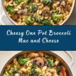 One Pot Broccoli Mac and Cheese Recipe
