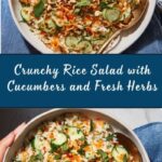 Crispy Rice Salad with Cucumbers and Herbs Recipe
