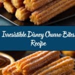 Disney Churro Bites Recipe