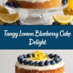 Lemon Blueberry Cake Recipe