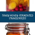 Honey-Fermented Cranberries Recipe