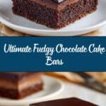 Fudgy Chocolate Cake Bars Recipe