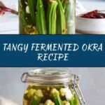 Fermented Okra Recipe