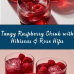 Raspberry Shrub with Hibiscus and Rose Hips Recipe