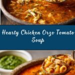 Chicken Orzo Tomato Soup Recipe