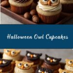 Halloween Owl Cupcakes Recipe