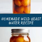 Wild Yeast (Yeast Water) Recipe