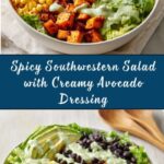Spicy Southwestern Salad with Avocado Dressing Recipe