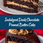 Dark Chocolate Peanut Butter Cake Recipe