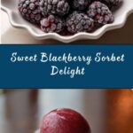 Blackberry Sorbet Recipe