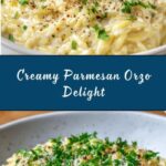 Creamy Parmesan Orzo Recipe