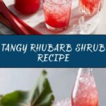 Rhubarb Shrub Recipe