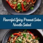 Spicy Peanut Soba Noodle Salad Recipe