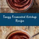 Fermented Ketchup Recipe