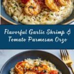 Garlic Shrimp and Tomatoes with Parmesan Orzo Recipe