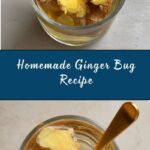 Ginger Bug Recipe