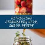 Strawberry and Herb Shrub Recipe