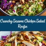 Sesame Chicken Salad Recipe