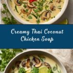 Thai Coconut Chicken Soup Recipe