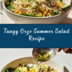 Zippy Orzo Summer Salad Recipe
