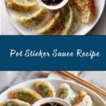 Pot Sticker Sauce Recipe