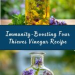 Four Thieves Vinegar Recipe