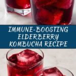Elderberry Kombucha Recipe