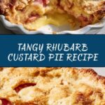 Rhubarb Custard Pie Recipe