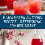 Blackberry Switchel Recipe