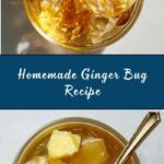 Ginger Bug Recipe