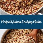 How To Cook Quinoa Recipe