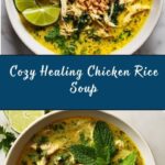 Healing Chicken and Rice Soup Recipe