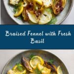 Braised Fennel with Basil Recipe