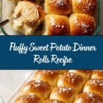 Sweet Potato Dinner Rolls Recipe
