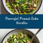 Quick Peanut Soba Noodles Recipe