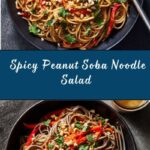 Spicy Peanut Soba Noodle Salad Recipe