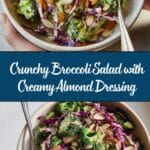Broccoli Salad with Creamy Almond Dressing Recipe